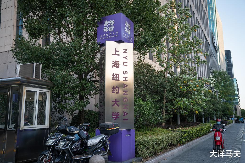 中美合作办学的第一所高校: 上海纽约大学应当拓宽一些专业, 培养领军人才!