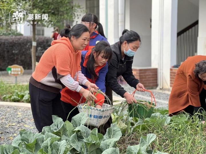 劳动课上, 爸爸妈妈和孩子齐上阵, 这样的劳动果实真的特别甜