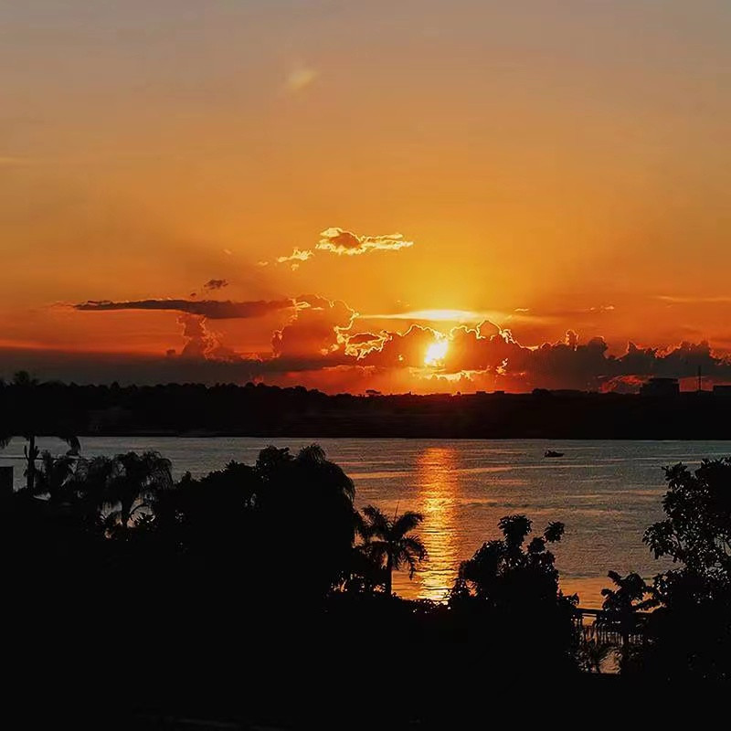 出国留学被开除后怎么办?