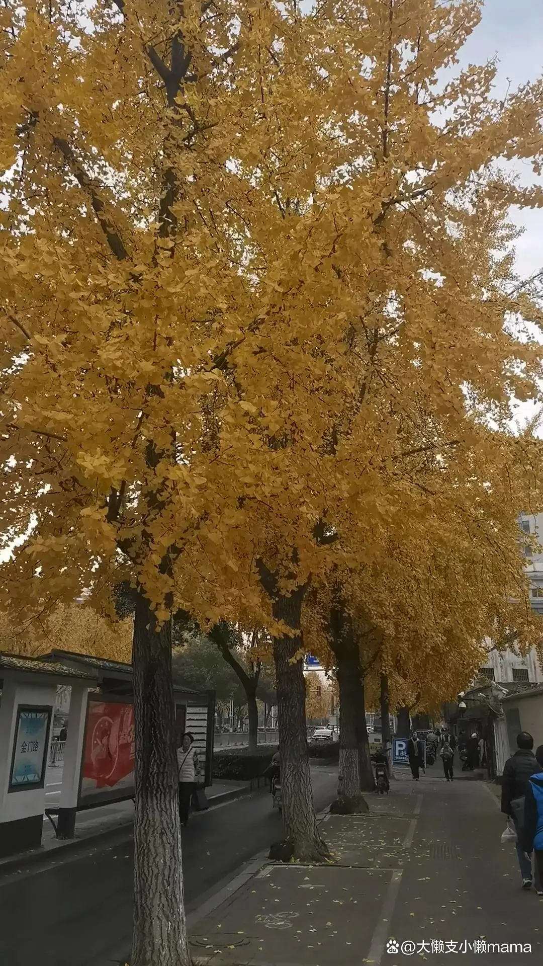 甘肃地震, 学生砸门逃生, 宿管为何拒开门?