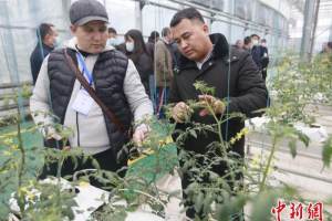 中亚职业农民“留学”陕西寻合作