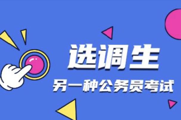 选调生大幅扩招, 挤占省考岗位, 省考恐怕如鸡肋食之无味弃之可惜