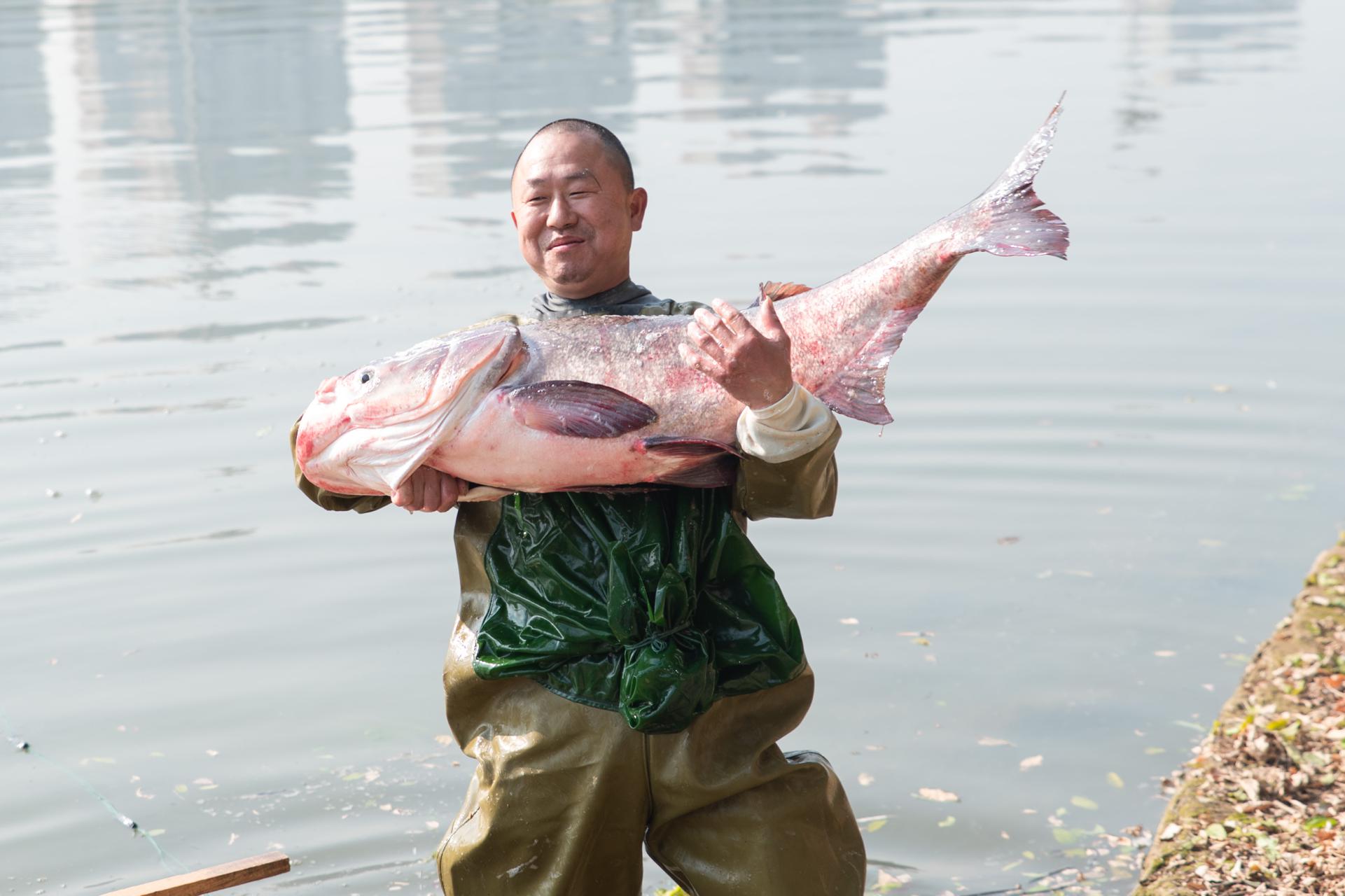 “锦鲤上岸”! 湖南这所高职院校请同学们免费吃鱼