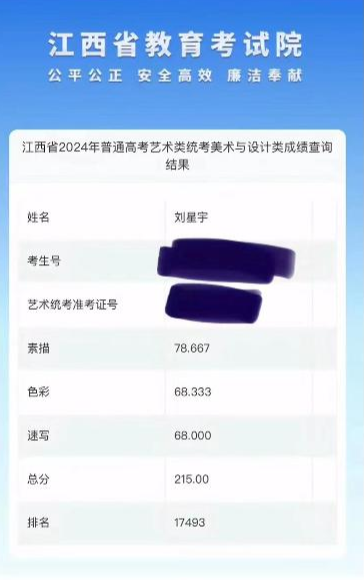 大跌眼镜! 江西最强美术生刘星宇, 联考只有215分, 看网友如何说