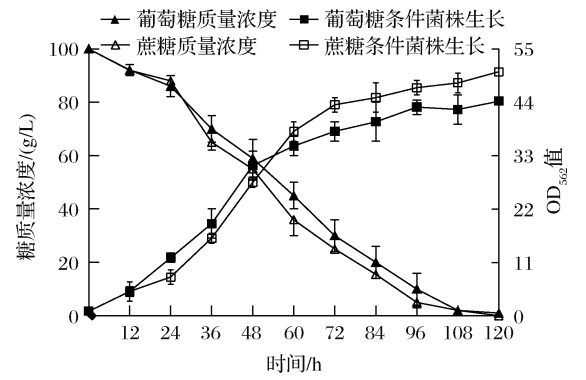 论文荐读|江南大学系统发酵与制药工程研究室: 基于代谢组学分析理性强化三羧酸循环提高L-丝氨酸产量