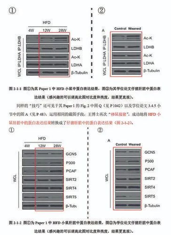 “分手”的决心: 华中农大11名学生联名举报教授, 为何决定这样做