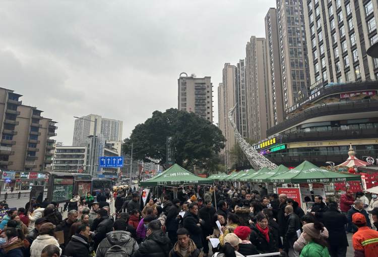 送岗1000余个! 这场招聘会吸引2000余人现场求职