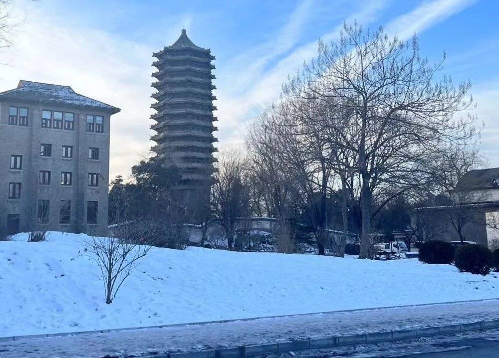 失去宿舍的专硕生, 困于高房租