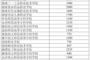最新! 湖南省发布2024年高职院校单招计划