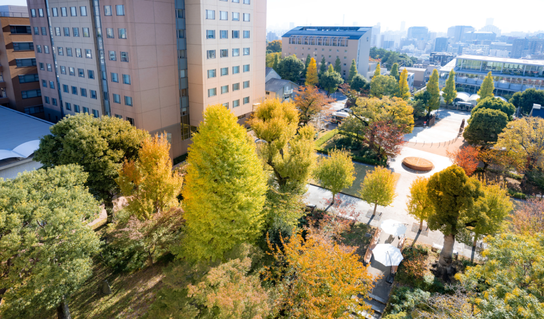 2024年4月入学 | 日本女子大学大学院文学研究科修士募集要项