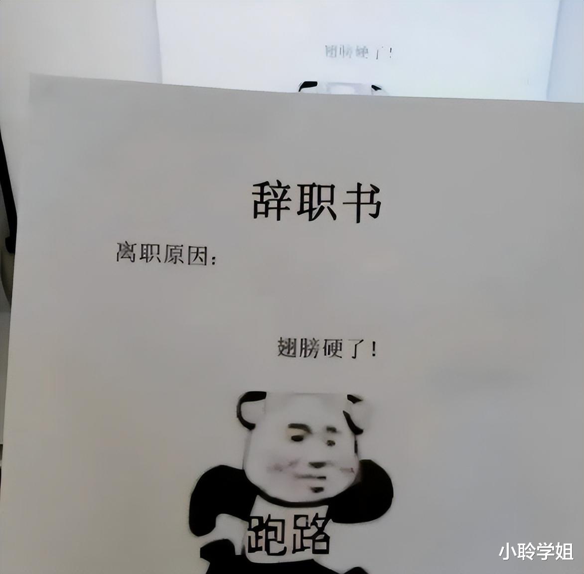 “你收拾下跑路吧”! 00后大学生嚣张辞职信火了, 老板敢怒不敢言