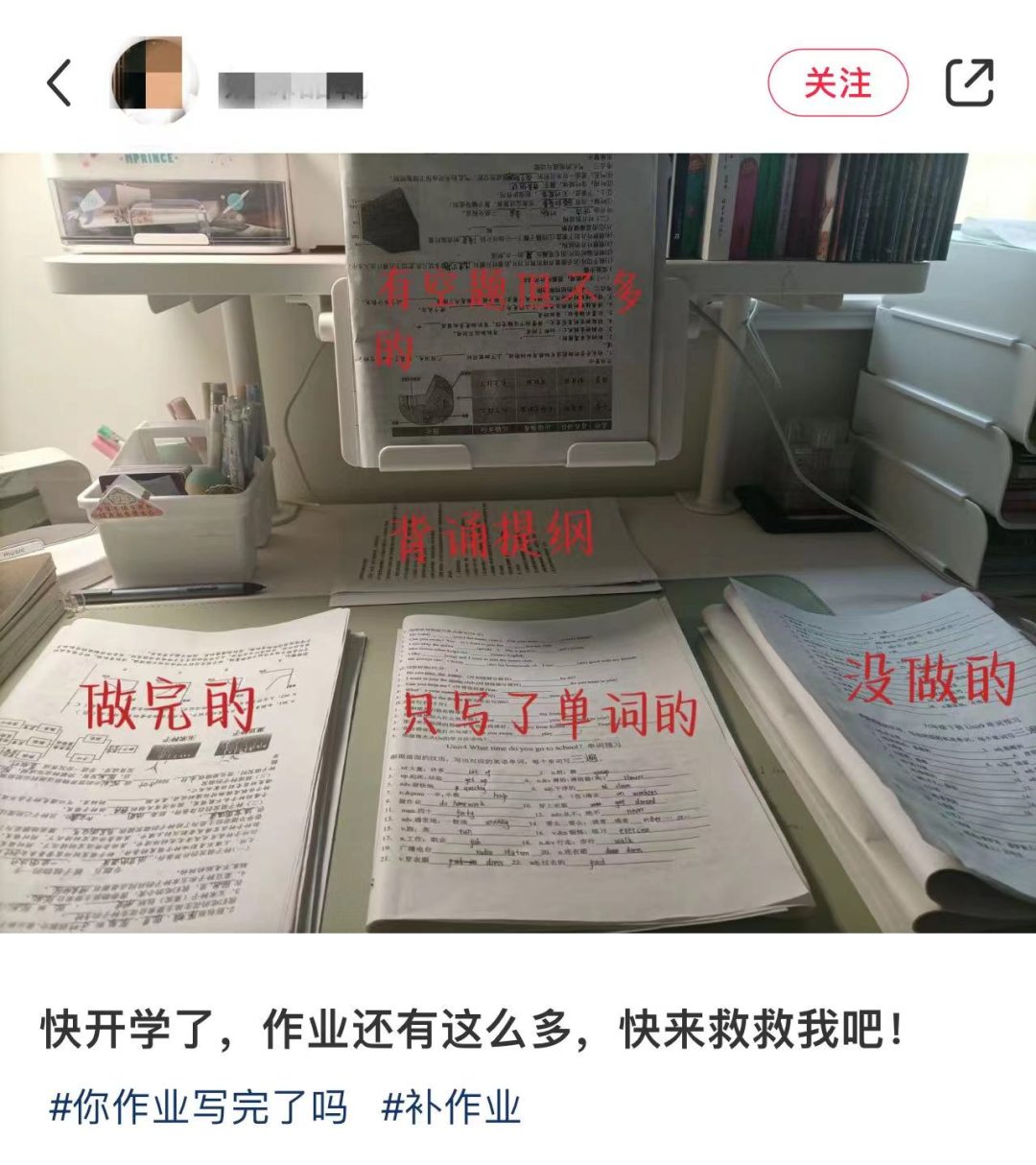 “寒假作业赶工”上热搜! 官方明确: 这些学生可缓交……