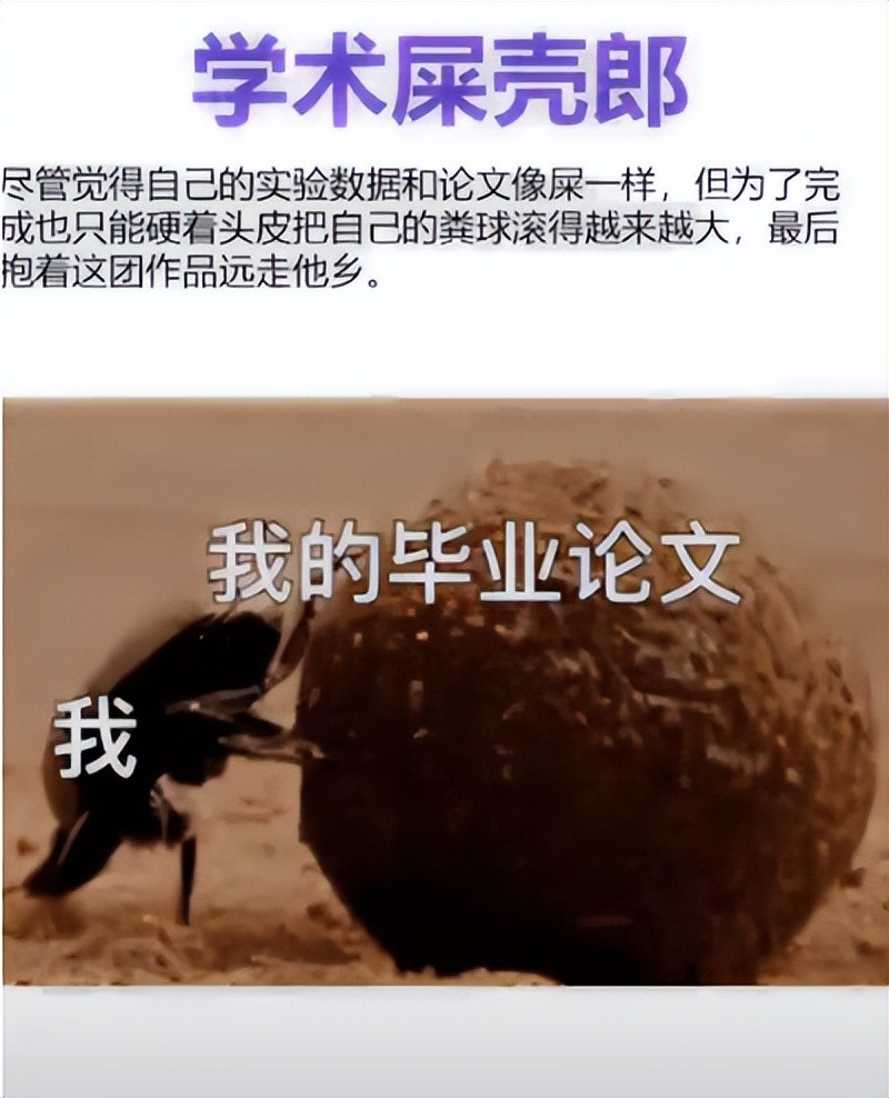 00后用梗图吐槽读研生活, 主打一个整顿学术圈, 隔着屏幕笑出声