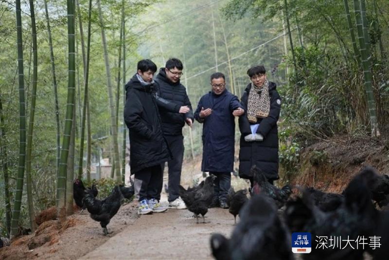 响应“双百行动”号召! 近千名深大师生寒假期间贡献青春力量