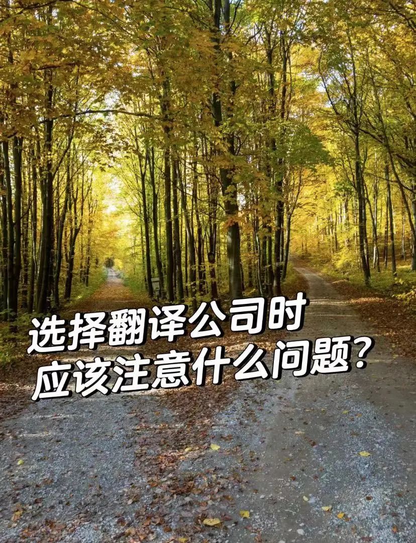 选择翻译公司时应该注意什么问题?