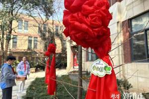 中山杉落户校园! 南京市中山小学有了自己的“校树”