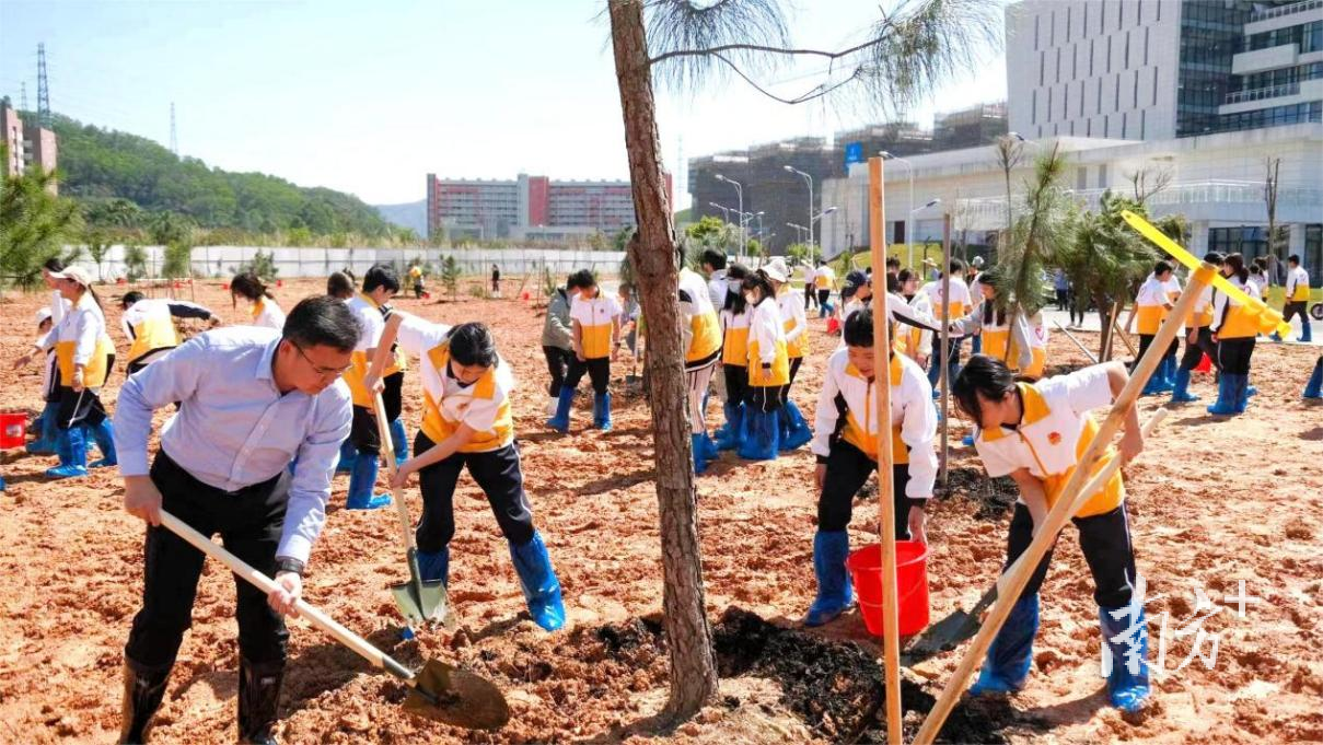 仲恺农业工程学院师生种下100多棵松树, 未来将建成“松园”