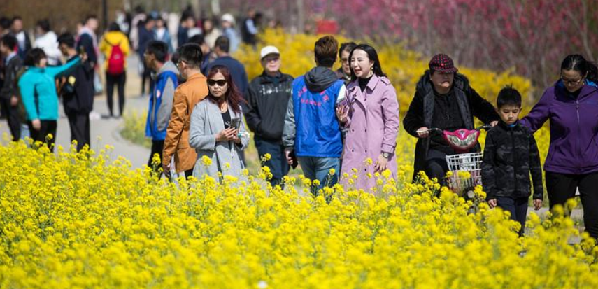 四川一高校火了, 刚开学就要放7天长假, 得知理由, 众人羡慕了