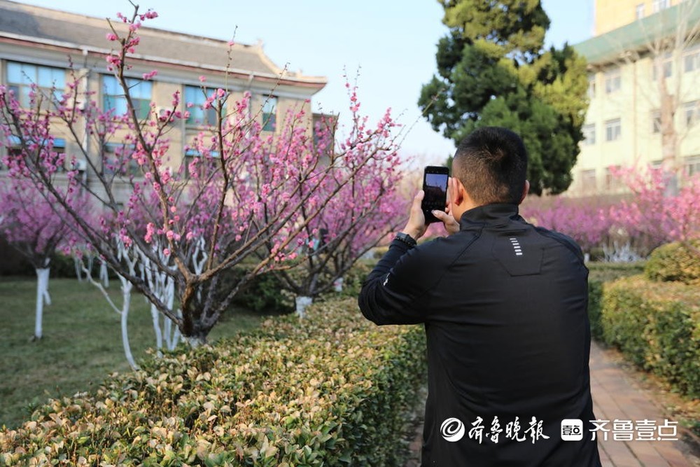 今天, 山东师范大学开放校园! 市民可通过预约进入