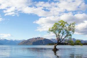 新西兰留学 | 新西兰留学怎么读研