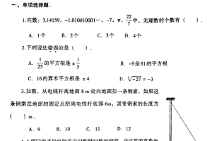 郑州市经开区八年级上学期期末《数学》试卷