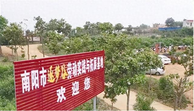 南阳市逐梦谷劳动实践与拓展基地亮点纷呈—— 走出课堂, 让劳动教育落地生根