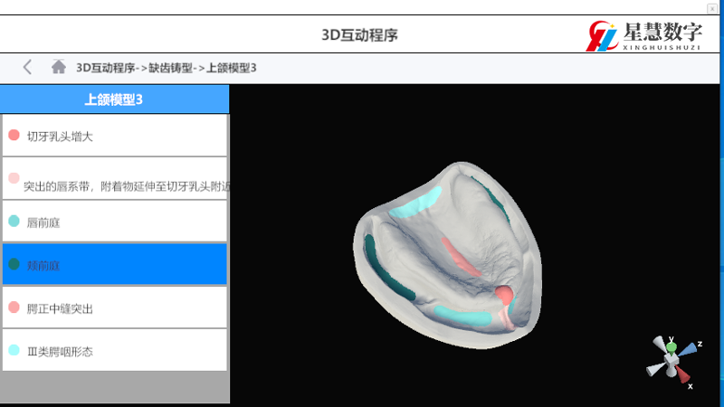 全口义齿三维仿真实训软件-数字化教学引领口腔咬合技术发展