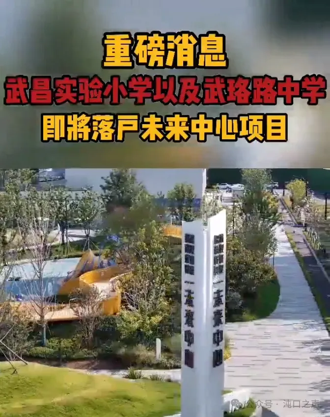 武汉这个知名学校要落户沌口? !