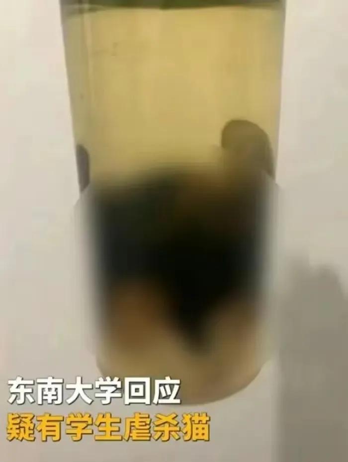 虐猫大学生考研之路被堵死, 南大给出不过审理由, 正当且合规