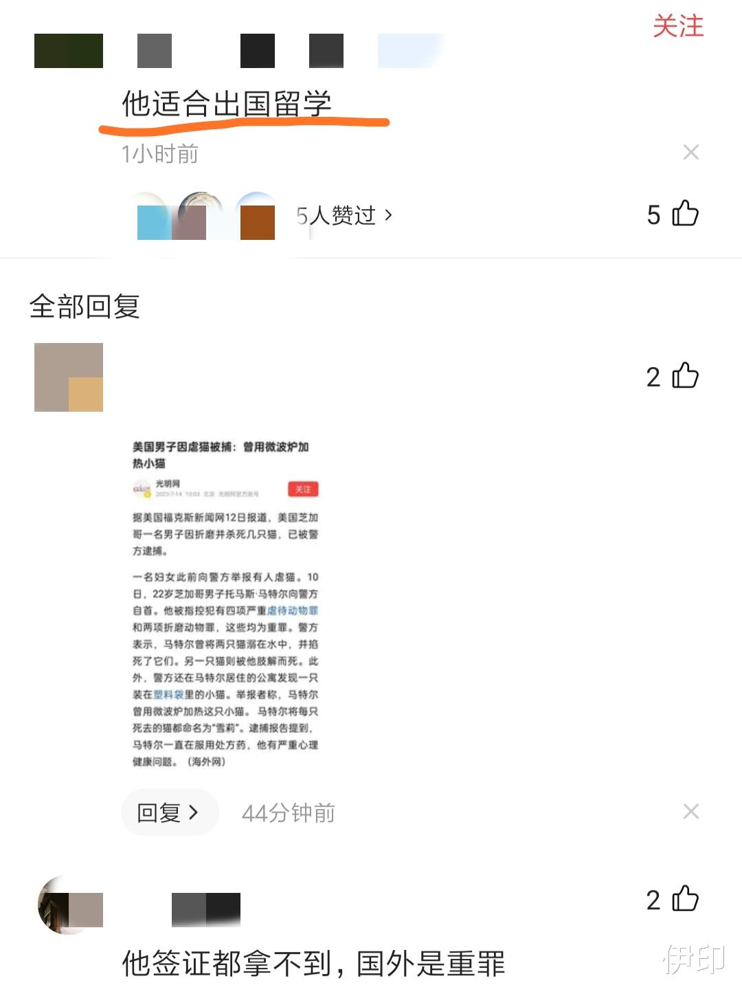 虐猫学生无缘兰州大学, 网友评论其适合出国留学, 实在是太天真!