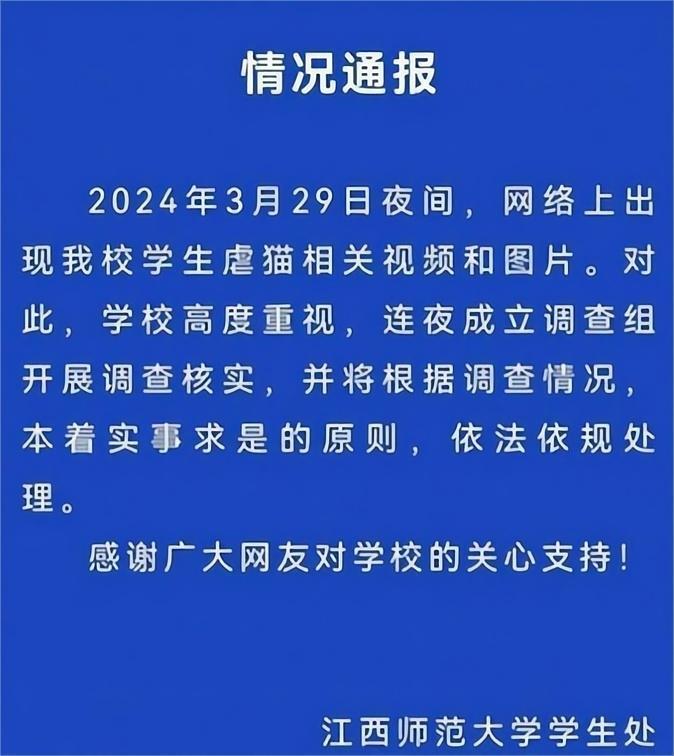 虐猫考生拒不道歉, 拒不认错, 打算继续考研, 更多聊天记录曝光