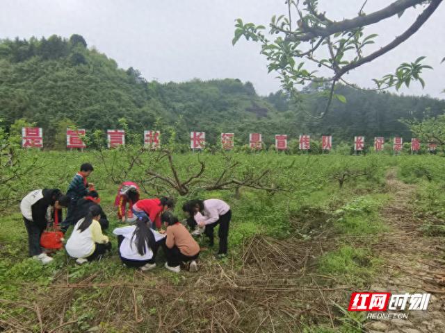 沙洲日记｜去沙洲品春味