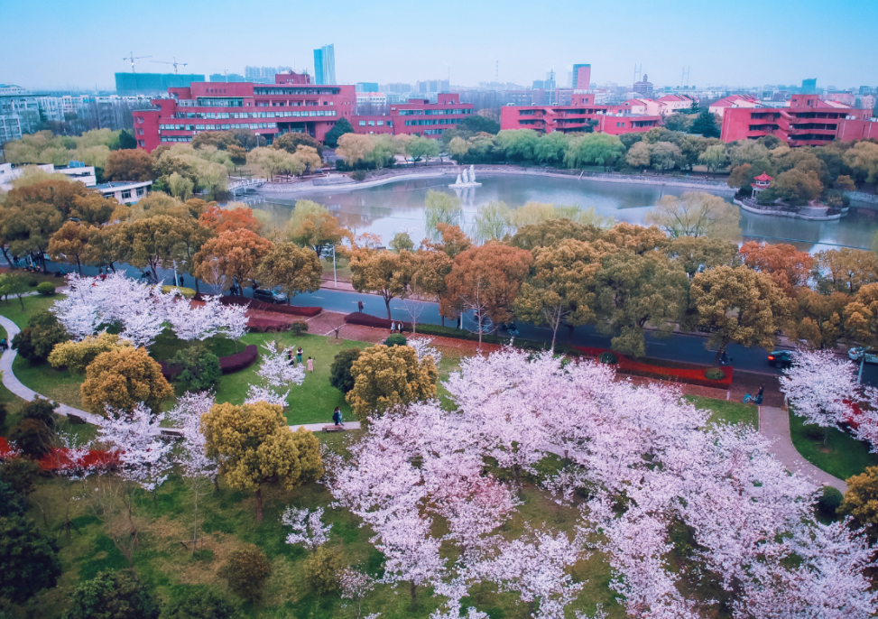 2024中国高校排名, 前30名基本都是985大学, 高分考生首选