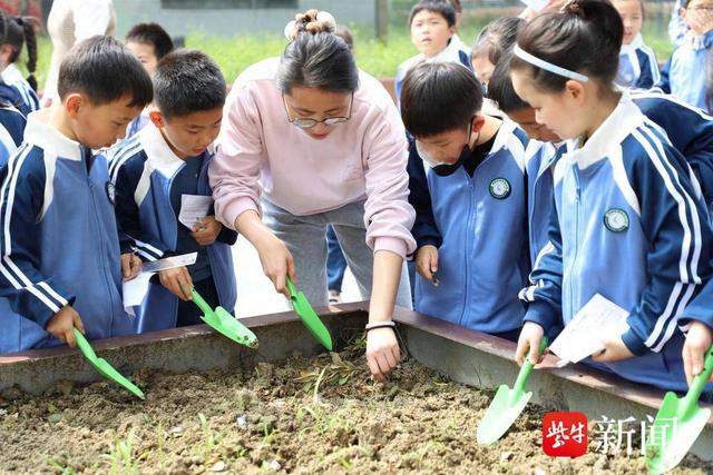 科技创新赋能劳动教育, 常信院为小学生量身定制的“智慧小菜园”