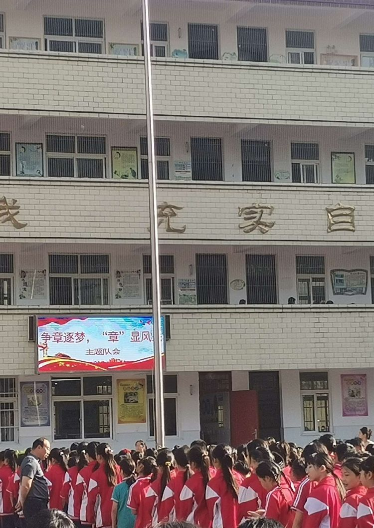 南阳市第37小学: 争章逐梦 彰显风采