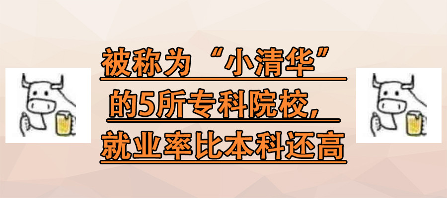 被称为“小清华”的5所专科院校, 就业率比本科还高