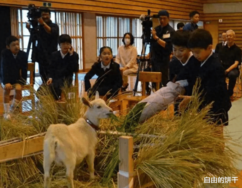 日本小学迎来特殊“同窗”: 生源稀缺导致选择它陪伴孩子们上学