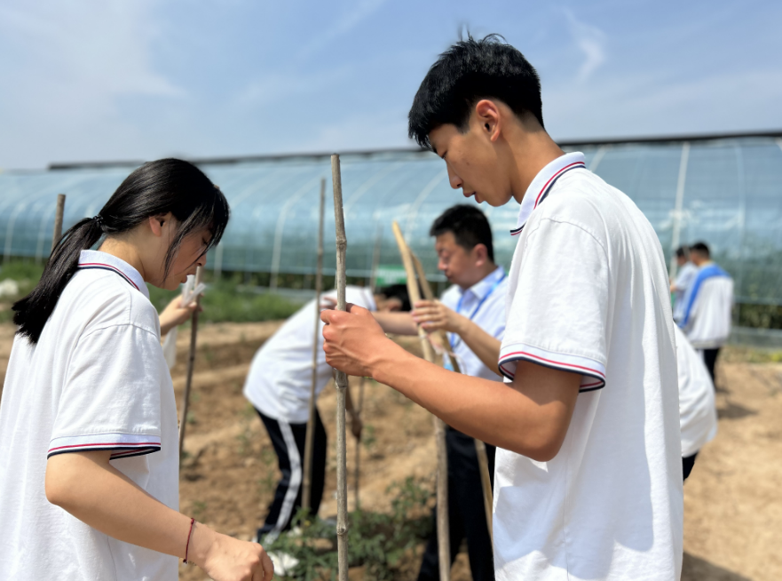 推动产教深度融合 为区域发展赋能提质