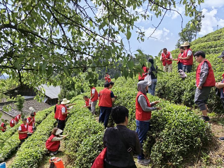 贵州大学专家团队到雷山县开设“田间学校”