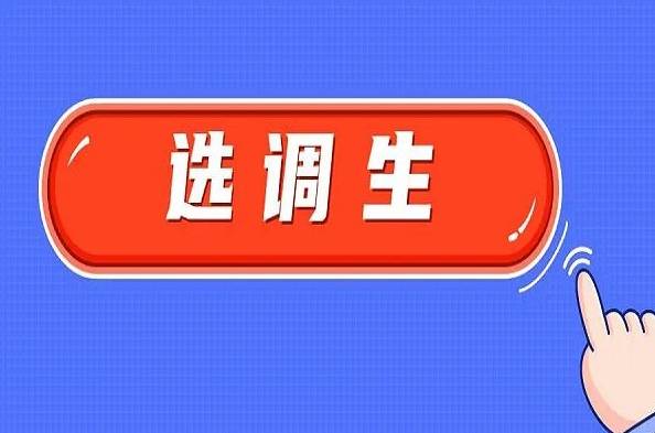 基层选调生工作满两年以后怎么办?