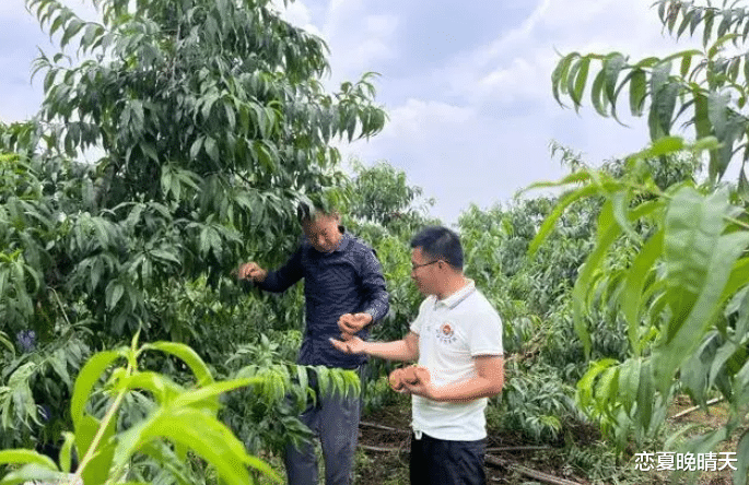 985硕士农民说高考并非人生全部”