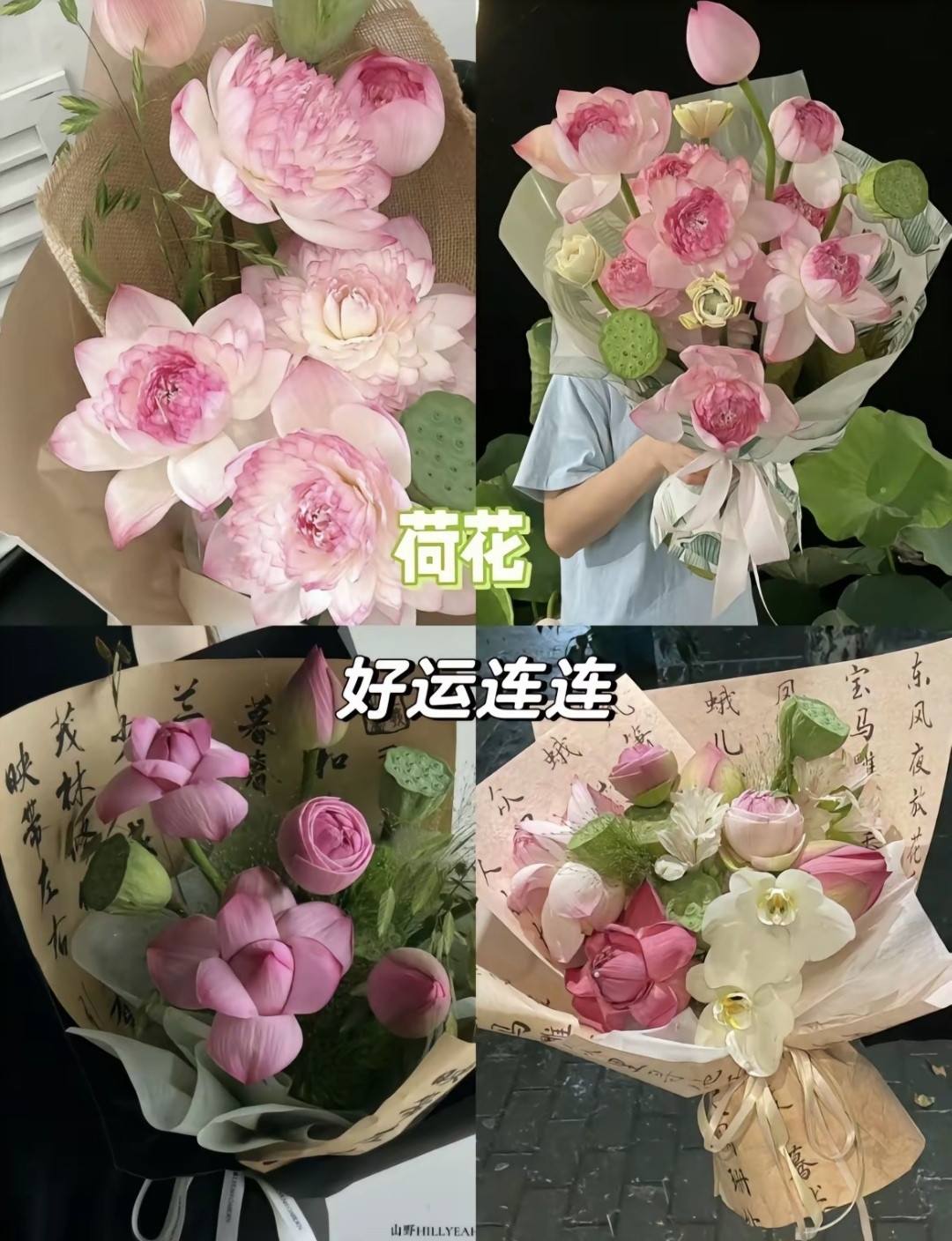 高考别再送孩子向日葵了! 进来看看这几种! 寓意超级好!”