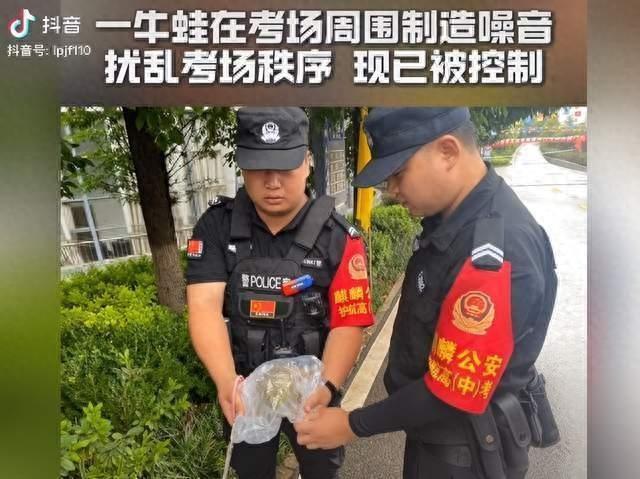 一牛蛙影响高考被抓! 网友: 最好笑的出现了……