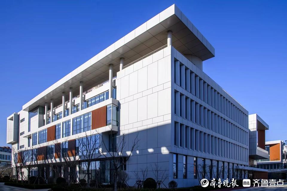 培养复合型拔尖创新人才! 康复大学首批5个本科专业今年招生