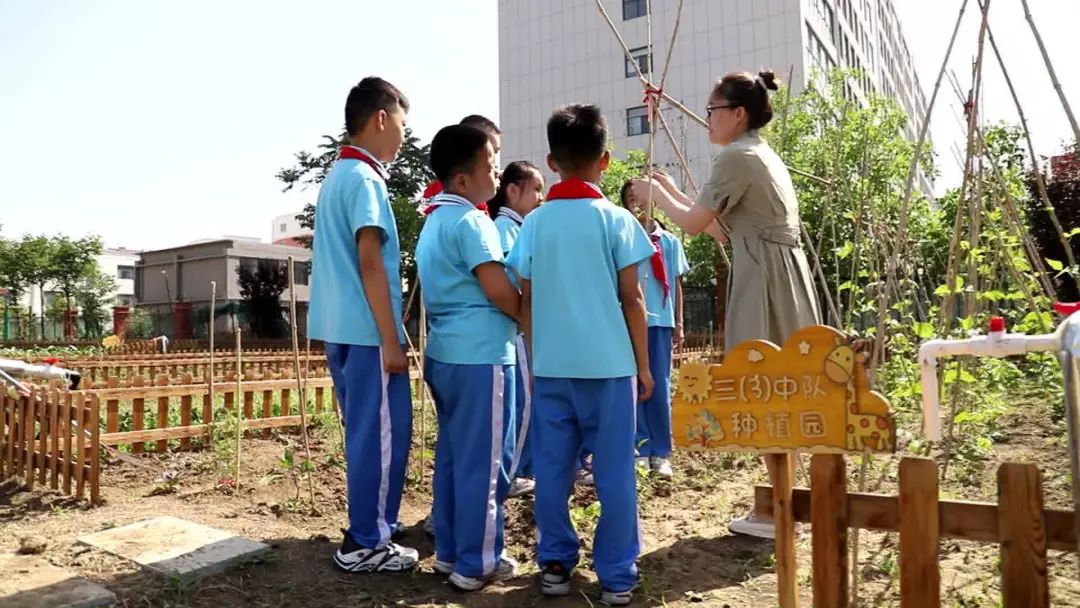 济宁高新区绿色家园小学: 创新构建农场特色课程 劳动实践提升育人实效